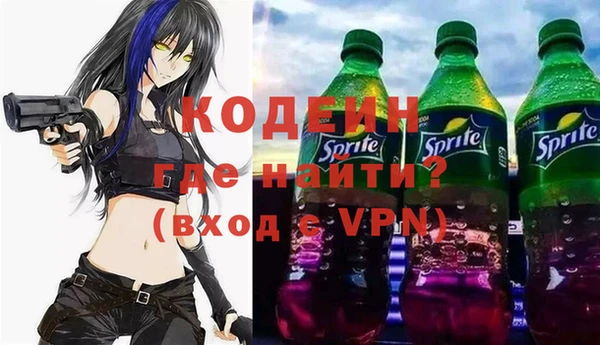 соль ск Кодинск