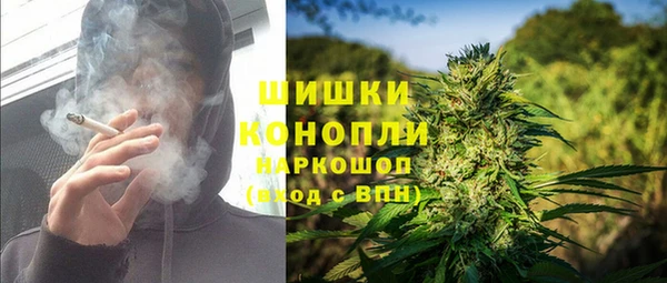 соль ск Кодинск