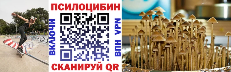 Галлюциногенные грибы Psilocybine cubensis  Купить где  Голицыно 
